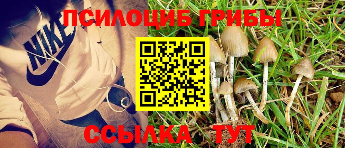 Усть-Илимск  Галлюциногенные грибы мухоморы  Вход с VPN  Псилоцибиновые грибы прущие грибы 