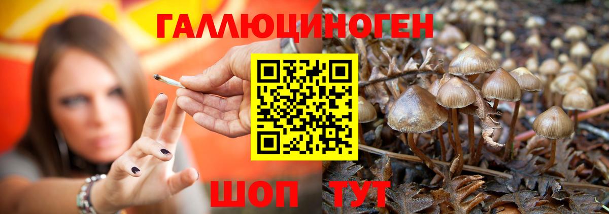 Псилоцибиновые грибы мухоморы Усть-Илимск